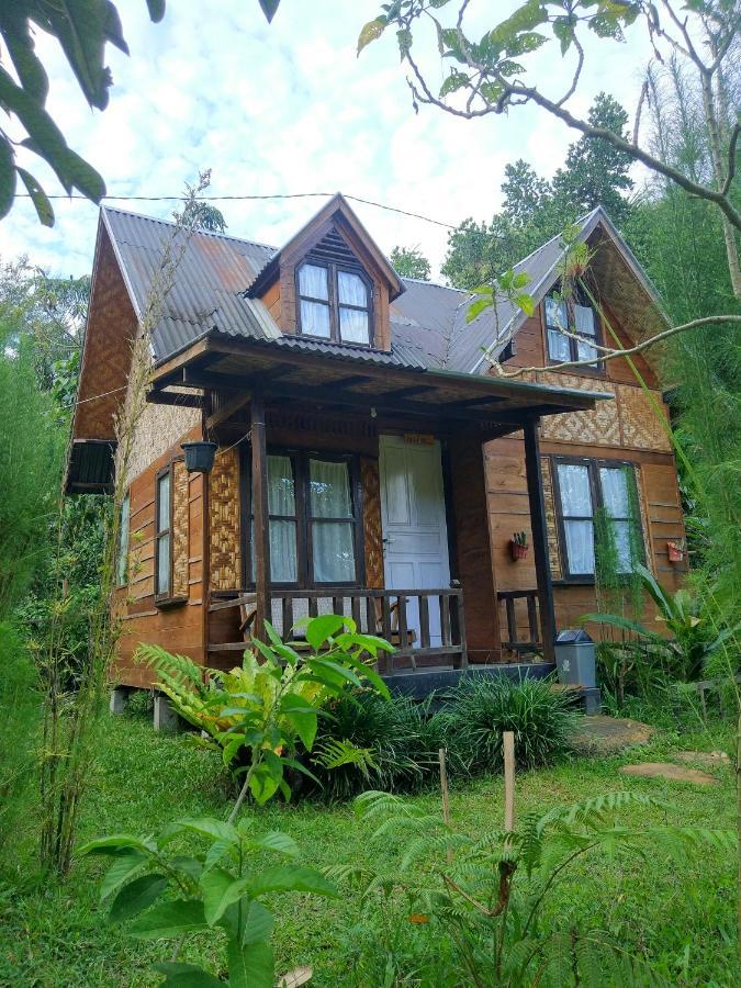 Canyon Jungle Stay Bukittinggi Εξωτερικό φωτογραφία