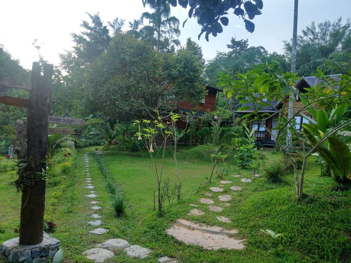 Canyon Jungle Stay Bukittinggi Εξωτερικό φωτογραφία