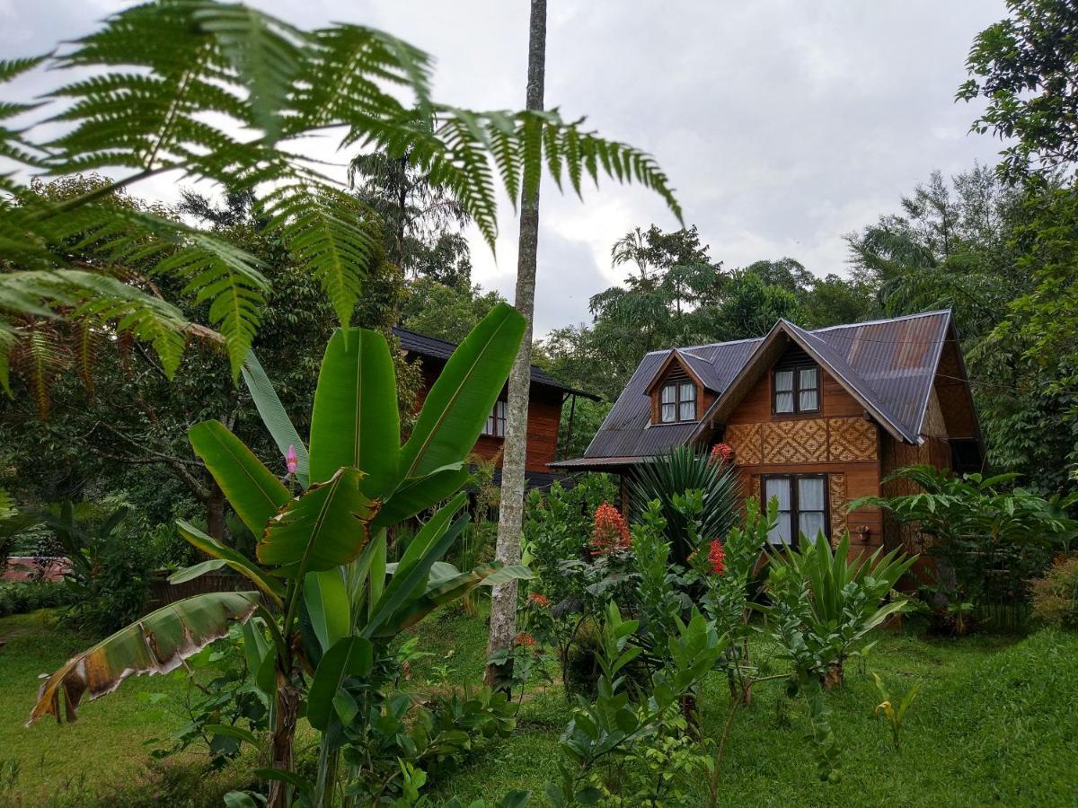 Canyon Jungle Stay Bukittinggi Εξωτερικό φωτογραφία