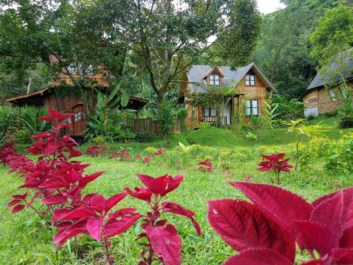 Canyon Jungle Stay Bukittinggi Εξωτερικό φωτογραφία