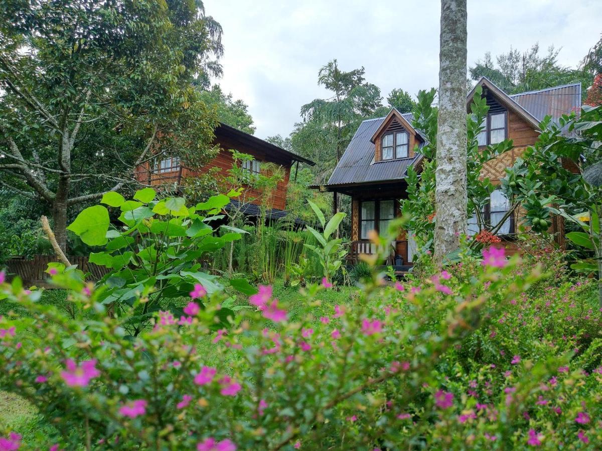 Canyon Jungle Stay Bukittinggi Εξωτερικό φωτογραφία