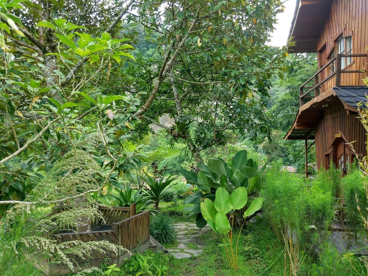 Canyon Jungle Stay Bukittinggi Εξωτερικό φωτογραφία