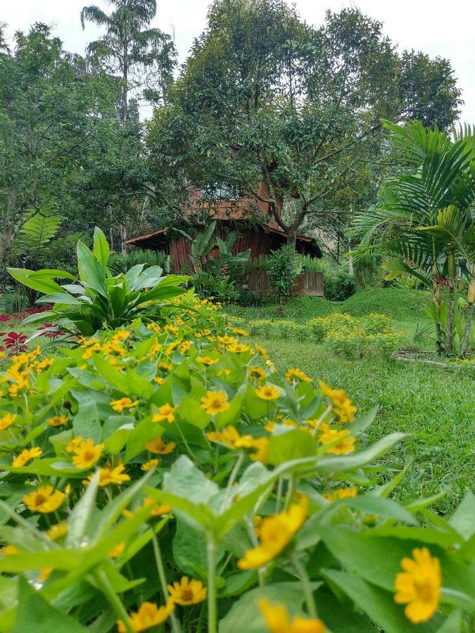 Canyon Jungle Stay Bukittinggi Εξωτερικό φωτογραφία