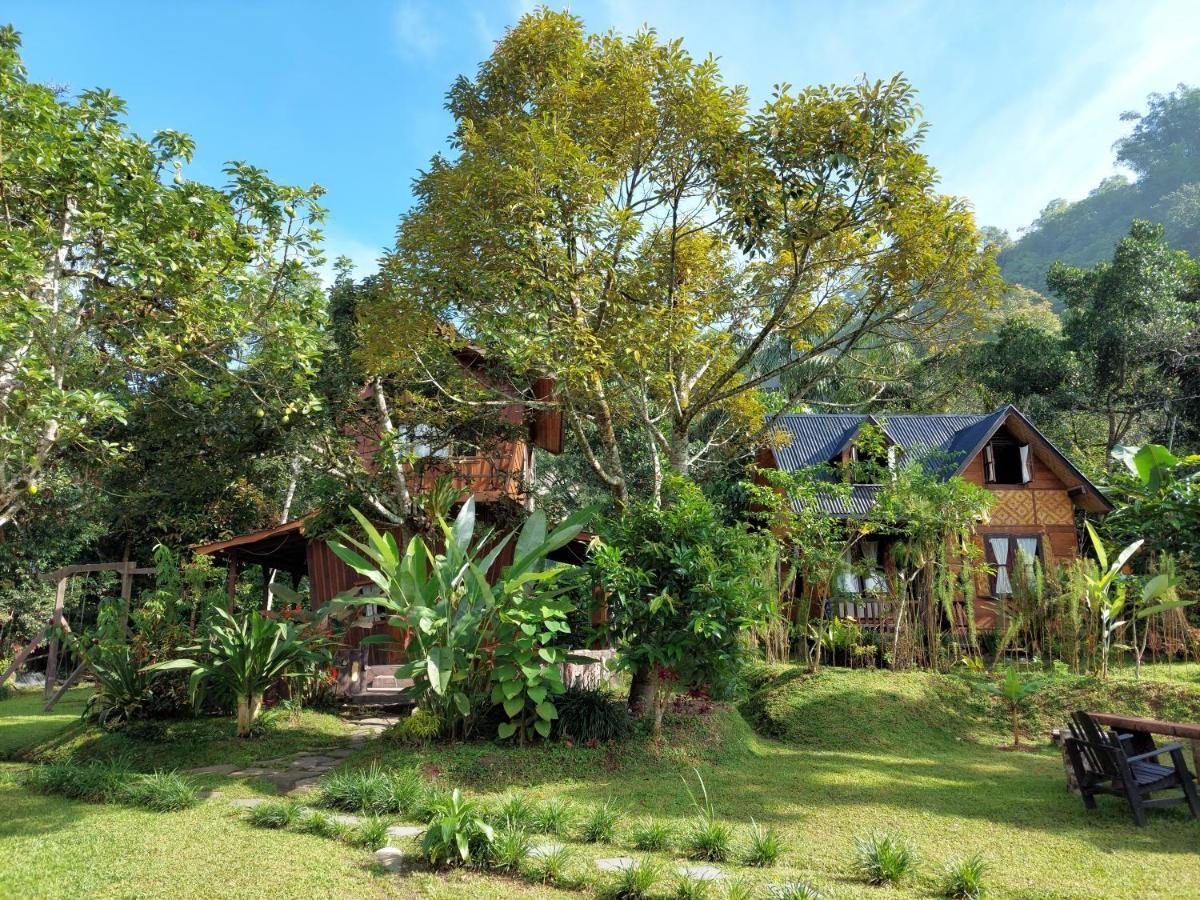 Canyon Jungle Stay Bukittinggi Εξωτερικό φωτογραφία