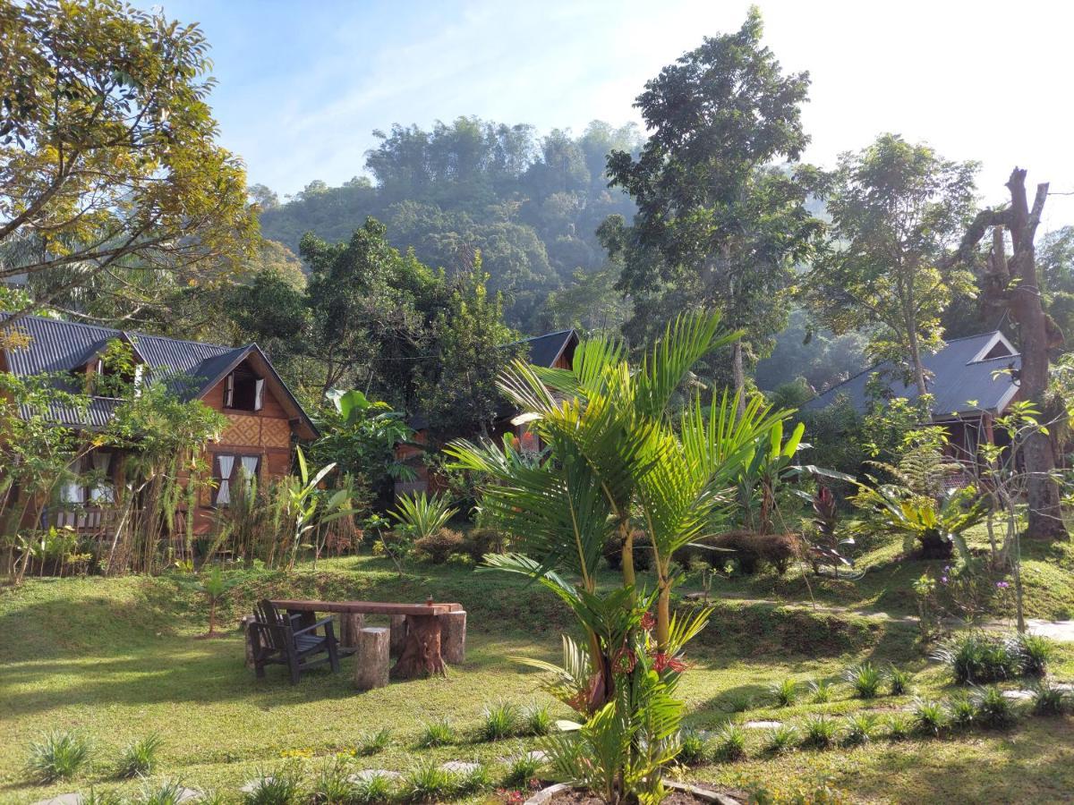 Canyon Jungle Stay Bukittinggi Εξωτερικό φωτογραφία