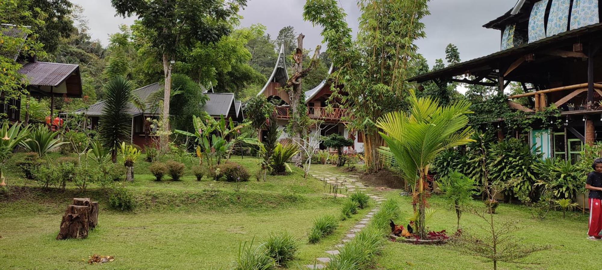 Canyon Jungle Stay Bukittinggi Εξωτερικό φωτογραφία