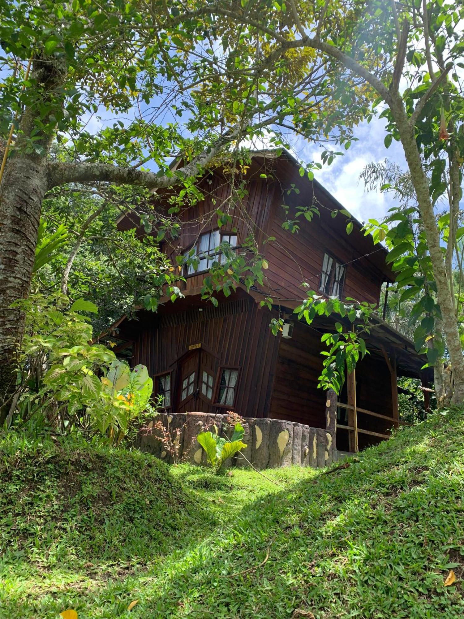 Canyon Jungle Stay Bukittinggi Εξωτερικό φωτογραφία