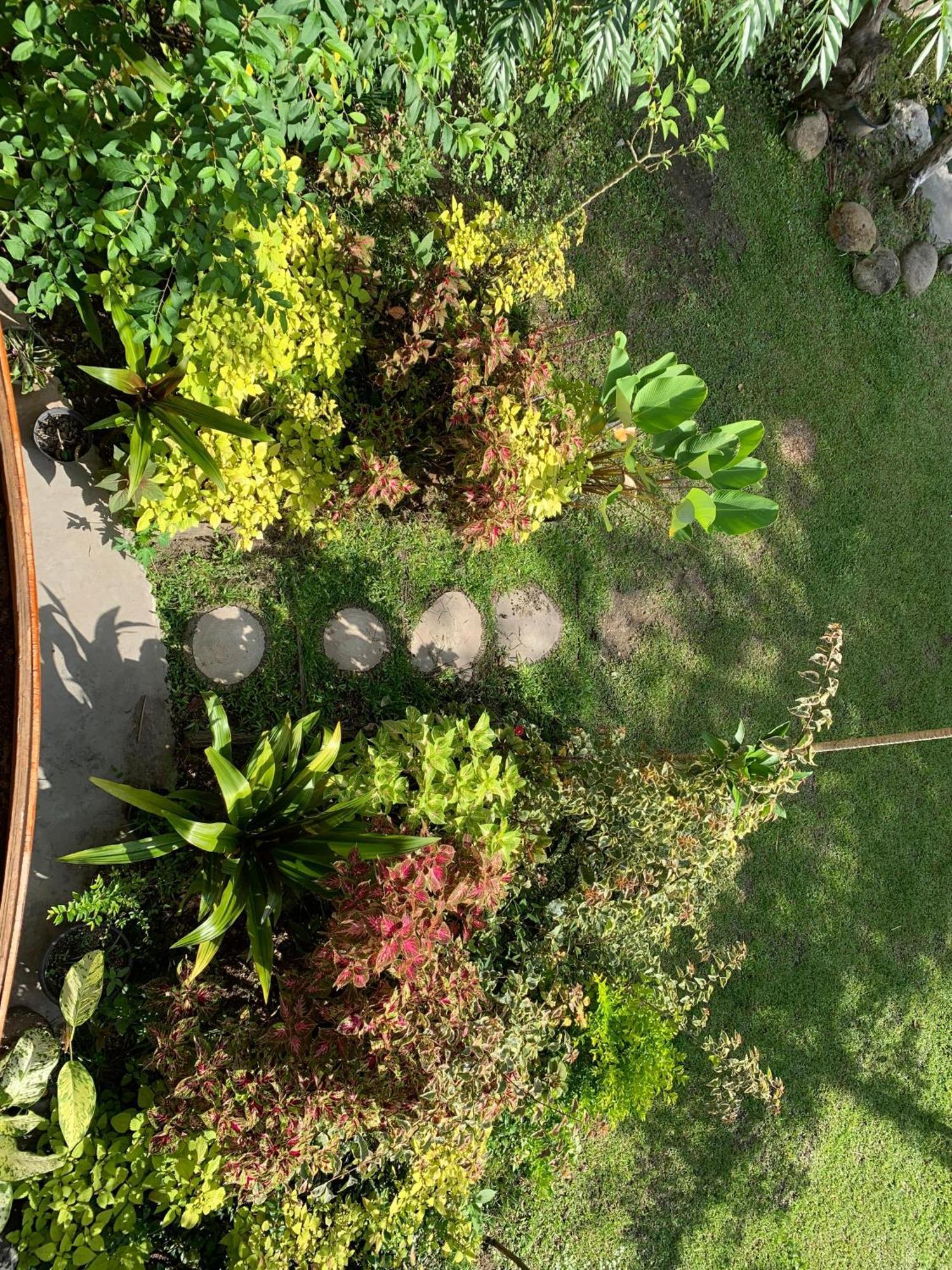 Canyon Jungle Stay Bukittinggi Εξωτερικό φωτογραφία